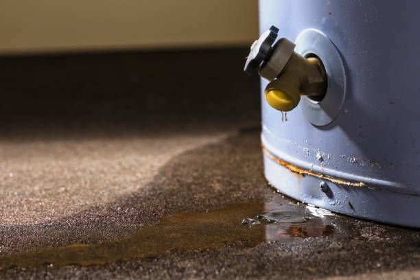 Best Flood restoration services  in Sterling, IL