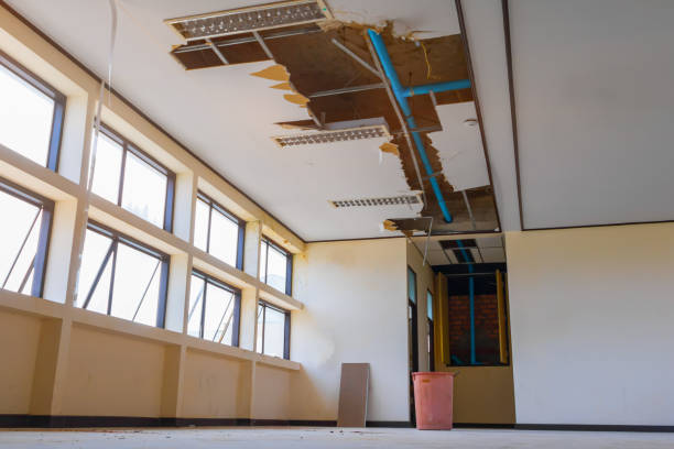 Best Water damage contractors near me  in Sterling, IL