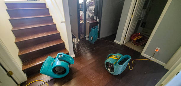 Best Ceiling water damage repair  in Sterling, IL
