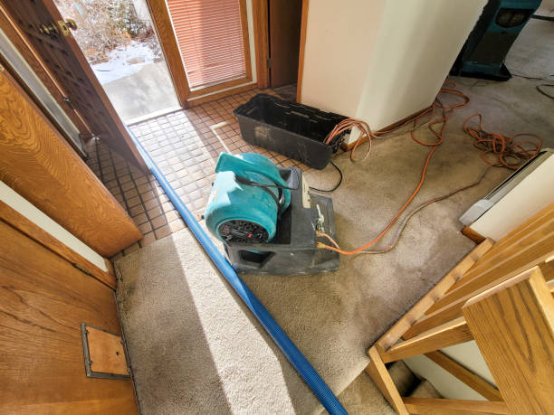 Best Emergency water damage restoration  in Sterling, IL