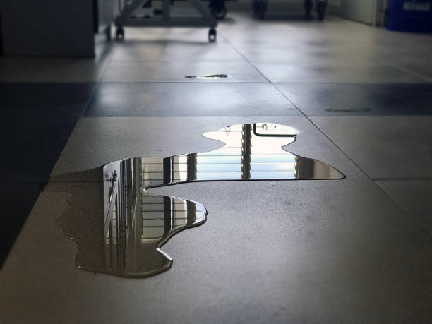 Sewage cleanup and water damage restoration in IL