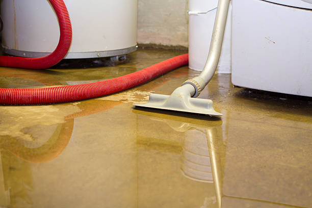 Best Flood damage cleanup  in Sterling, IL