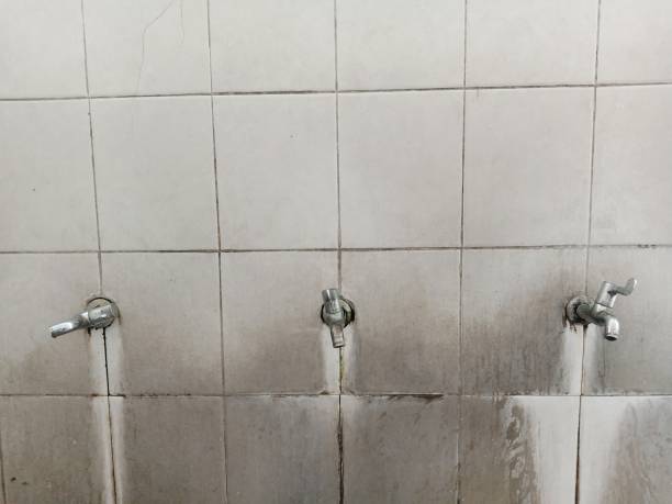Best Water damage restoration near me  in Sterling, IL