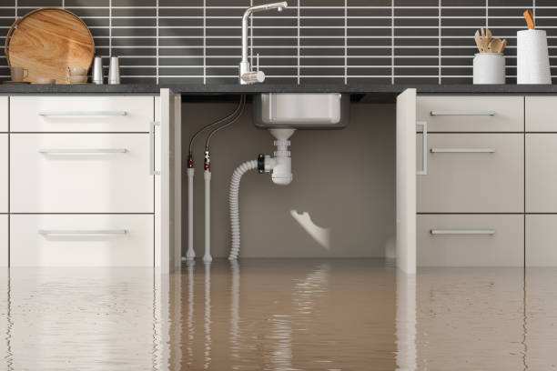 Best Water damage restoration services  in Sterling, IL