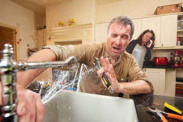 Best Carpet water damage restoration  in Sterling, IL